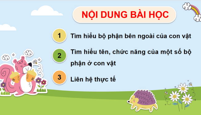 PowerPoint Tự nhiên và xã hội 3 Bài 17: Thế giới động vật quanh em