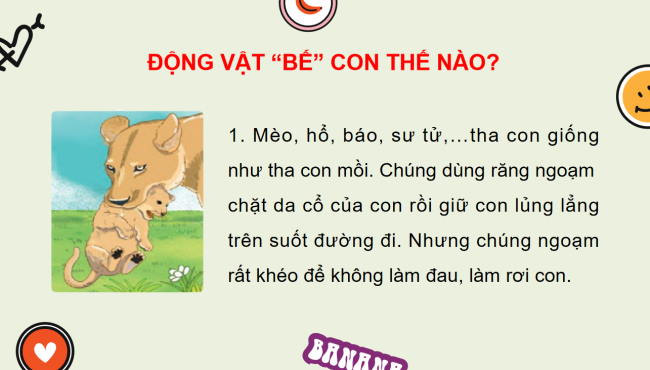 PowerPoint Tiếng Việt 2 Bài 25: Động vật "bế" con thế nào?