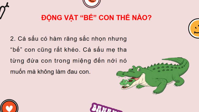 PowerPoint Tiếng Việt 2 Bài 25: Động vật "bế" con thế nào?