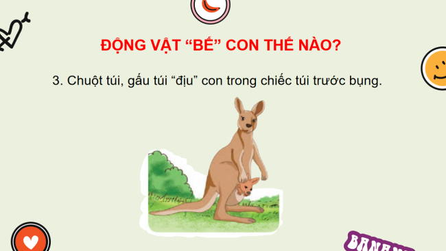 PowerPoint Tiếng Việt 2 Bài 25: Động vật "bế" con thế nào?