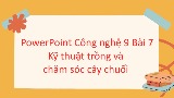 Giáo án Công nghệ 9 Bài 7: Kỹ thuật trồng và chăm sóc cây chuối