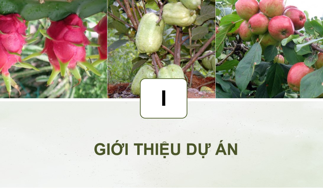 ppt cong nghe 9 tcaq b8 4*887705