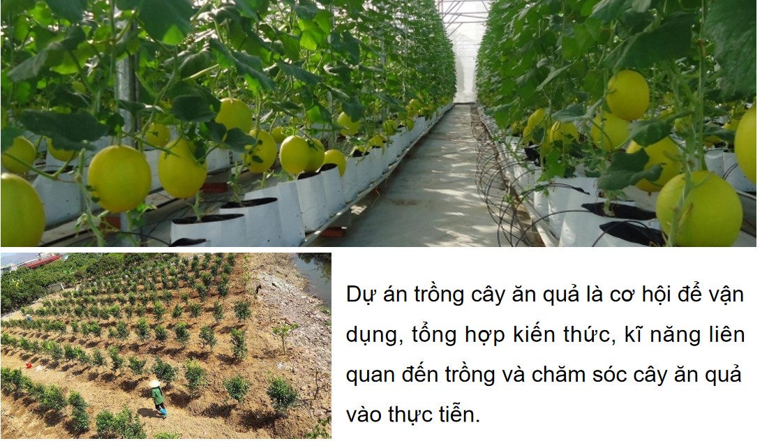 ppt cong nghe 9 tcaq b8 5*887706