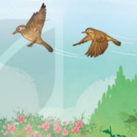 Giáo án Tiếng Việt 2 Bài 3: Họa mi hót