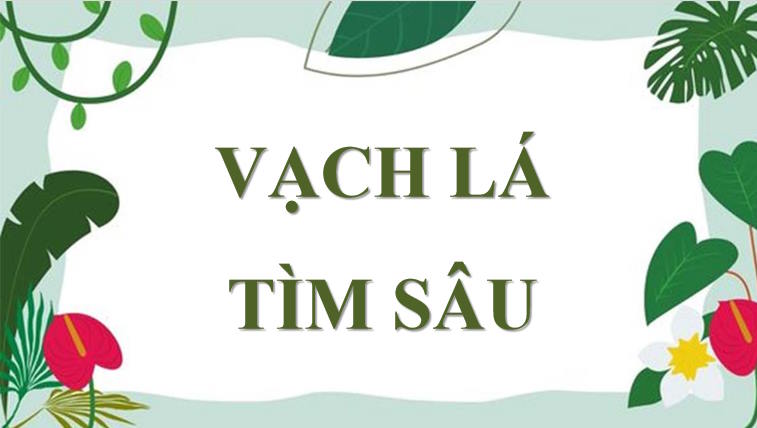 Toán 7 Bài 29: Làm quen với biến cố