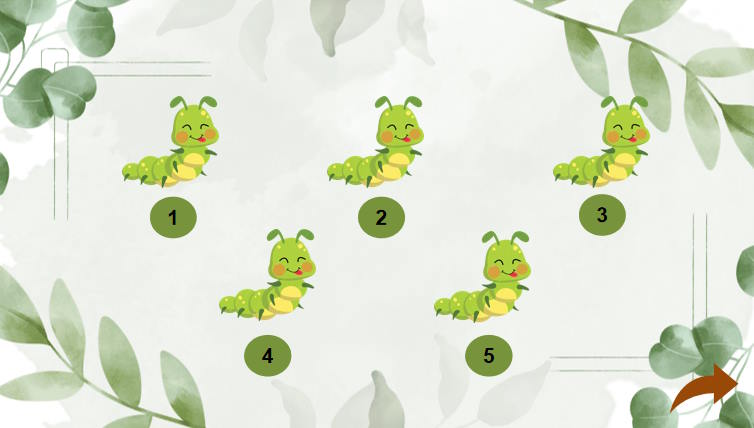 Toán 7 Bài 29: Làm quen với biến cố