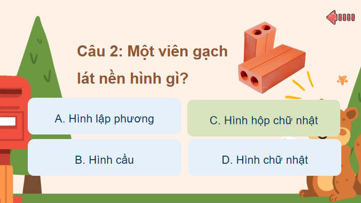 Hình hộp chữ nhật và hình lập phương