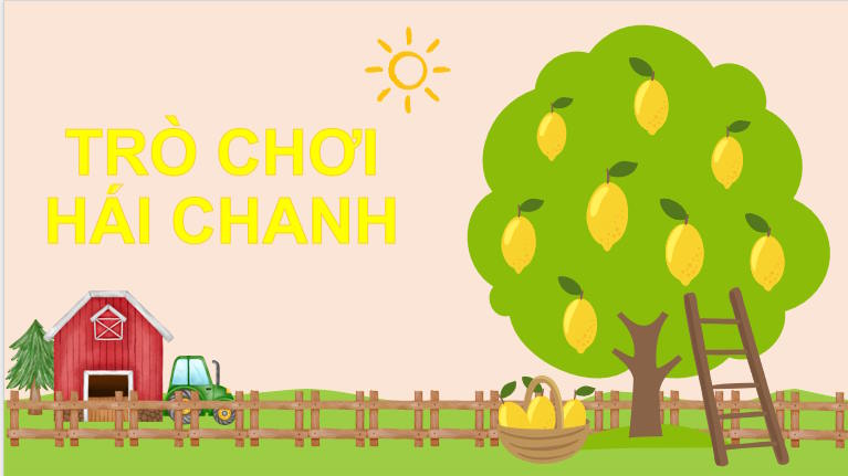 Hình lăng trụ đứng tam giác và hình lăng trụ đứng tứ giác