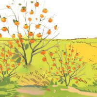 Giáo án Tiếng Việt 2 Bài 6: Nghe - viết Mùa vàng