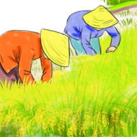 Giáo án Tiếng Việt 2 Bài 7: Hạt thóc