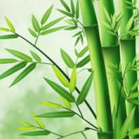 Giáo án Tiếng Việt 2 Bài 8: Lũy tre