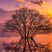 Giáo án Tiếng Việt 2 Bài 8: Mở rộng vốn từ về thiên nhiên. Câu nêu đặc điểm