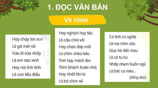 PowerPoint Tiếng Việt 2 Bài 9: Vè chim