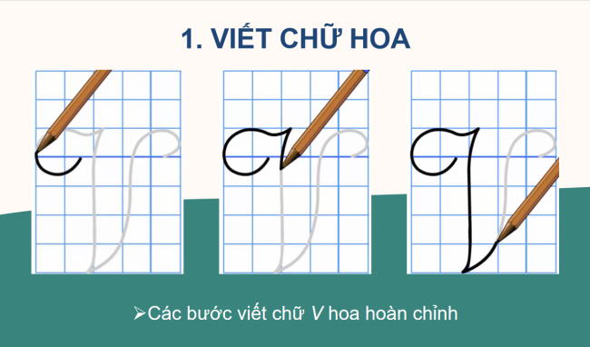 PowerPoint Tiếng Việt 2 Bài 11: Chữ hoa V