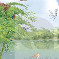 Giáo án Tiếng Việt 2 Bài 12: Bờ tre đón khách