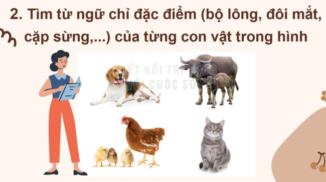 PowerPoint Tiếng Việt 2 Bài 12: Mở rộng vốn từ về vật nuôi. Câu nêu đặc điểm của các loài vật