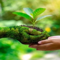 Giáo án Tiếng Việt 2 Bài 14: Mở rộng vốn từ về bảo vệ môi trường. Dấu phẩy