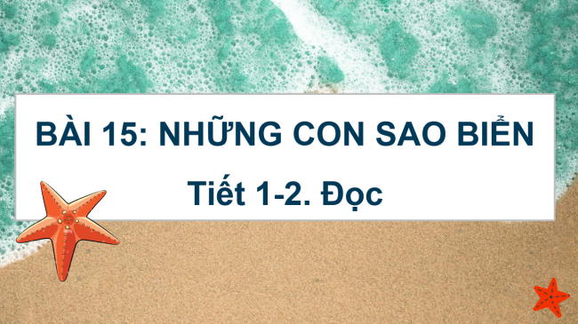 PowerPoint Tiếng Việt 2 Bài 15: Những con sao biển