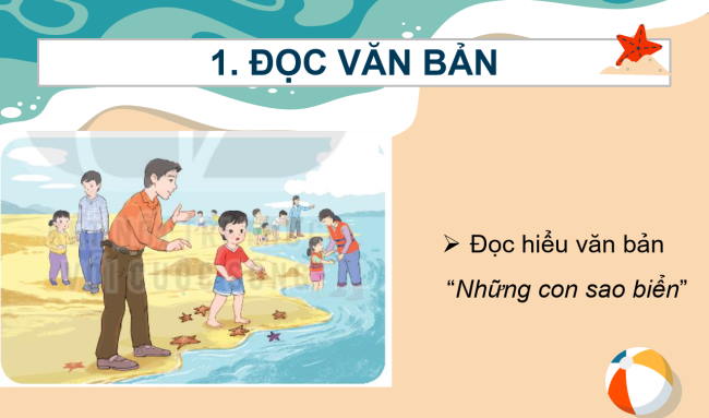PowerPoint Tiếng Việt 2 Bài 15: Những con sao biển