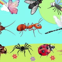 Giáo án Tiếng Việt 2 Bài 16: Mở rộng vốn từ về các loài vật nhỏ bé. Dấu chấm, dấu chấm hỏi