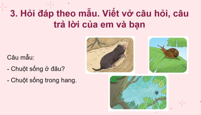 PowerPoint Tiếng Việt 2 Bài 16: Mở rộng vốn từ về các loài vật nhỏ bé. Dấu chấm, dấu chấm hỏi