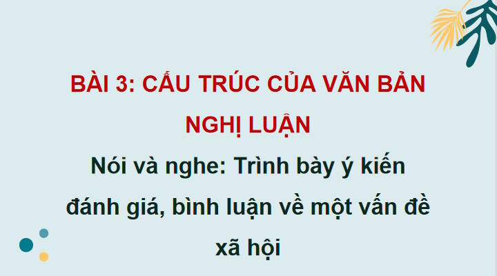Ngữ văn 11 Bài 3: Trình bày ý kiến đánh giá bình luận về một vấn đề xã hội
