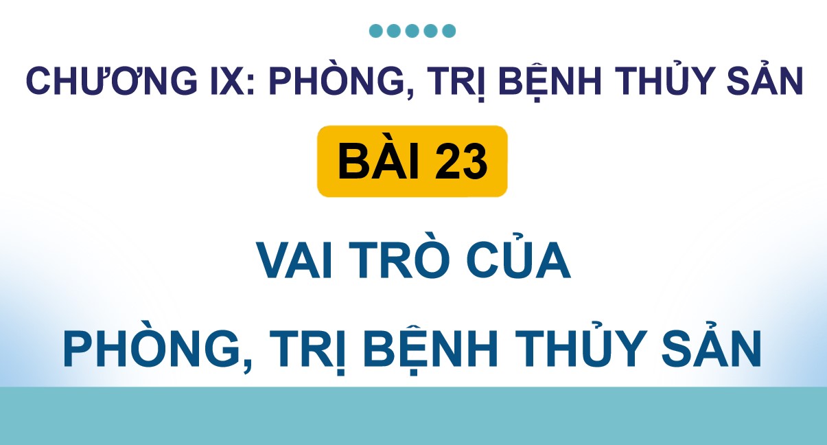 ppt cong nghe 12 kntt b23 3*892710