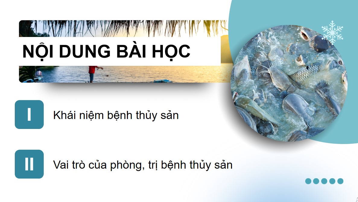 ppt cong nghe 12 kntt b23 4*892713