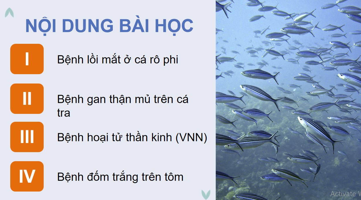 ppt cong nghe 12 kntt b24 3*892722