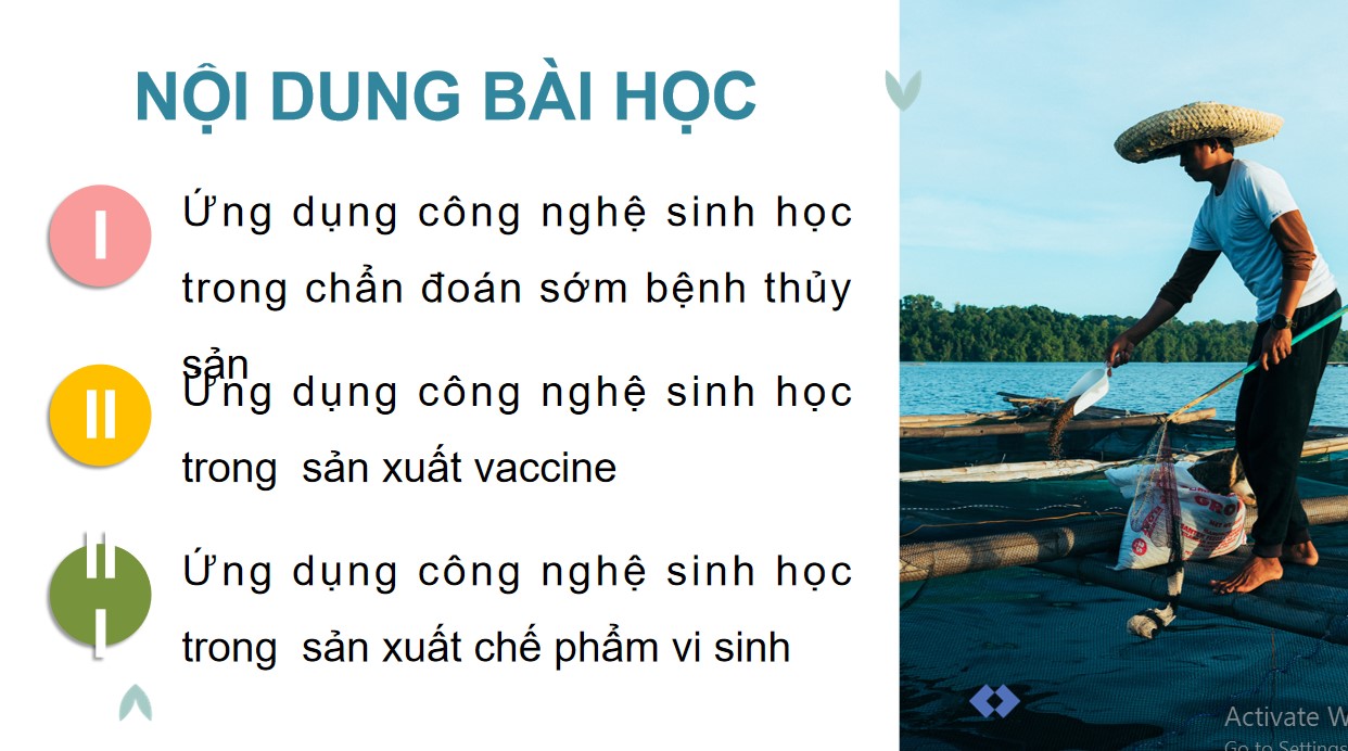 ppt cong nghe 12 kntt b25 3*892733