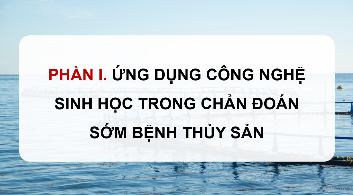 ppt cong nghe 12 kntt b25 4*892731