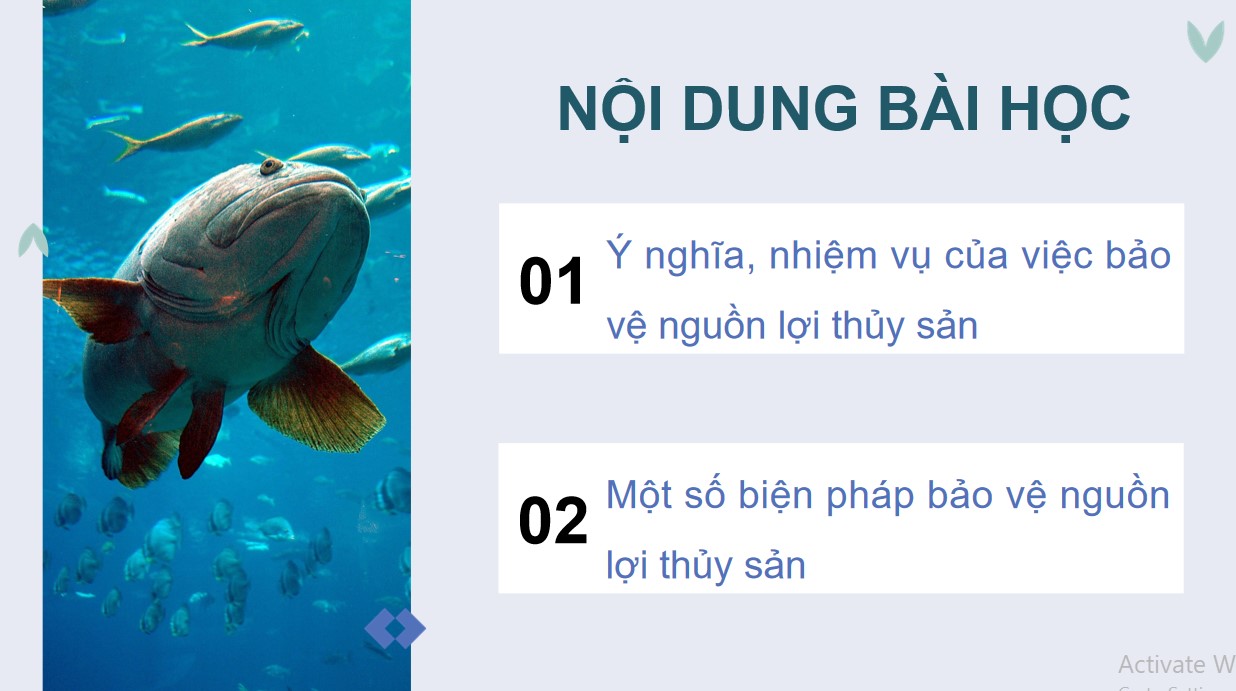 ppt cong nghe 12 kntt b26 4*893699