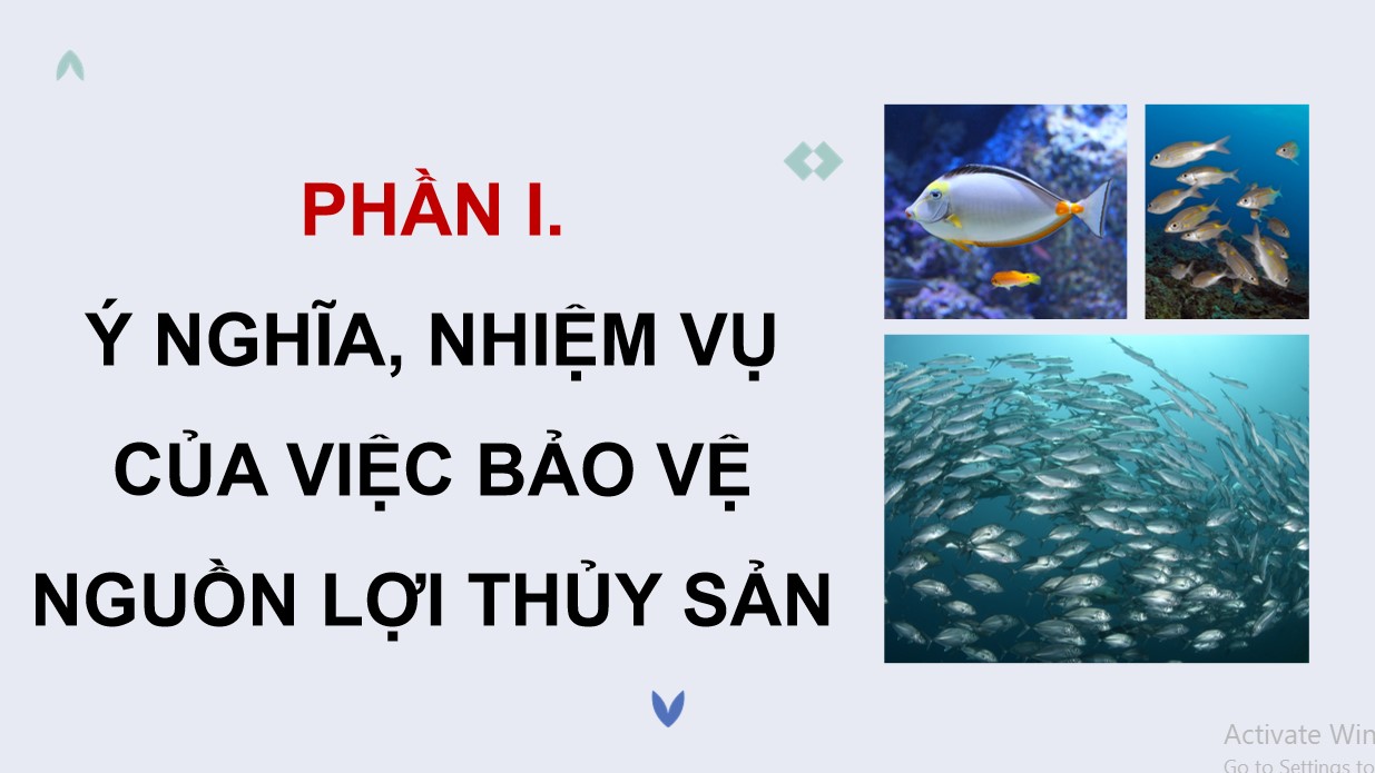 ppt cong nghe 12 kntt b26 5*893700