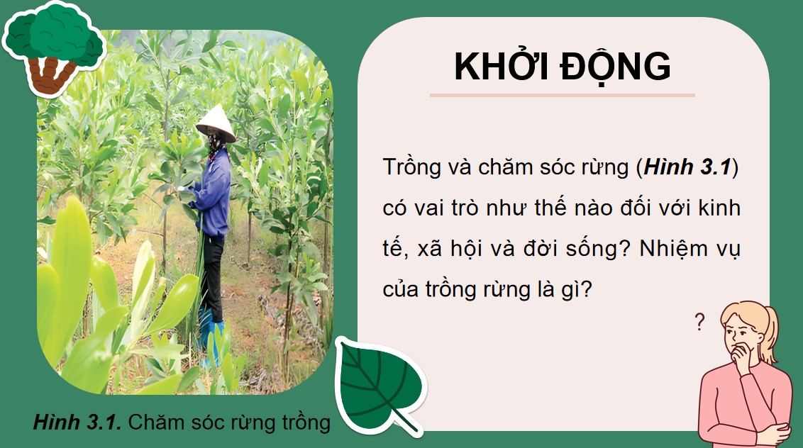 ppt cong nghe 12 kntt bai 3 3*894135