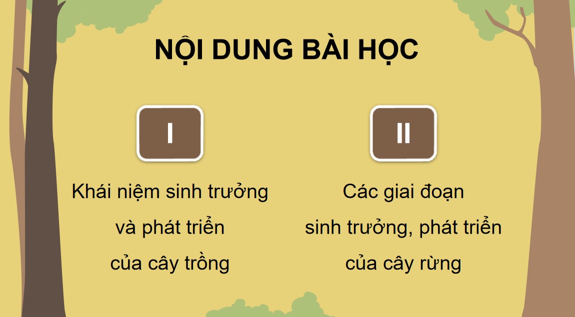 ppt cong nghe 12 kntt bai 4 3*894162