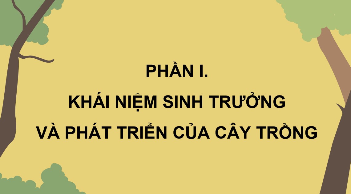 ppt cong nghe 12 kntt bai 4 4*894160