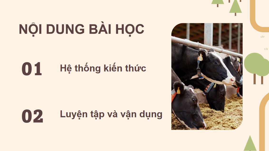 ppt cong nghe 12 kntt bai on tap c2 3*894270