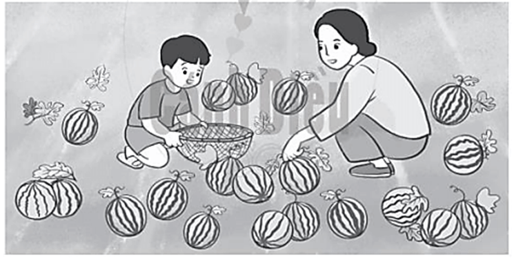 Vở bài tập Toán lớp 2 Bài 96: Ôn tập về số và các phép tính trong phạm vi 1000 (tiếp theo) (trang 95) | Cánh diều