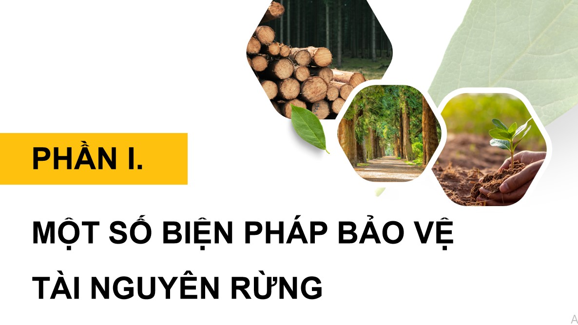 ppt cong nghe 12 kntt bai 7 4*895507