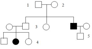 Trắc nghiệm Sinh 12 Kết nối tri thức bài 13
