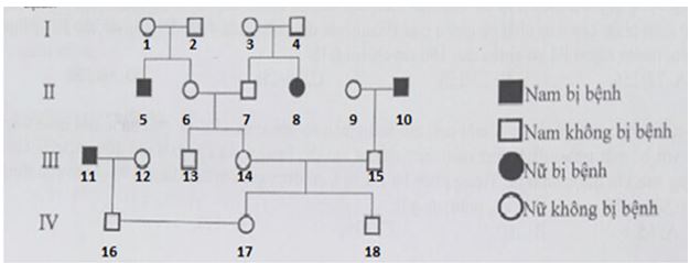 Trắc nghiệm Sinh 12 Kết nối tri thức bài 13