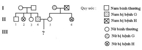 Trắc nghiệm Sinh 12 Kết nối tri thức bài 13