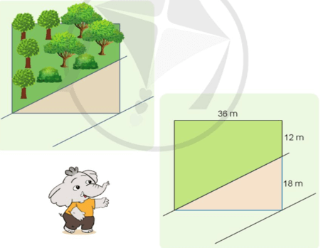 Toán lớp 5 Cánh diều Bài 57: Luyện tập về tính diện tích | Giải Toán lớp 5