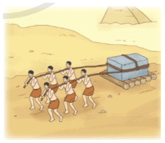 Toán lớp 5 Cánh diều Bài 58: Hình hộp chữ nhật. Hình lập phương. Hình trụ | Giải Toán lớp 5