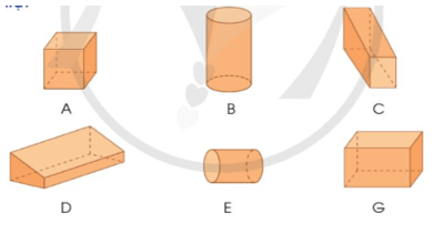Toán lớp 5 Cánh diều Bài 58: Hình hộp chữ nhật. Hình lập phương. Hình trụ | Giải Toán lớp 5