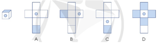 Toán lớp 5 Cánh diều Bài 59: Hình khai triển của hình hộp chữ nhật, hình lập phương, hình trụ | Giải Toán lớp 5