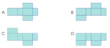 Toán lớp 5 Cánh diều Bài 59: Hình khai triển của hình hộp chữ nhật, hình lập phương, hình trụ | Giải Toán lớp 5