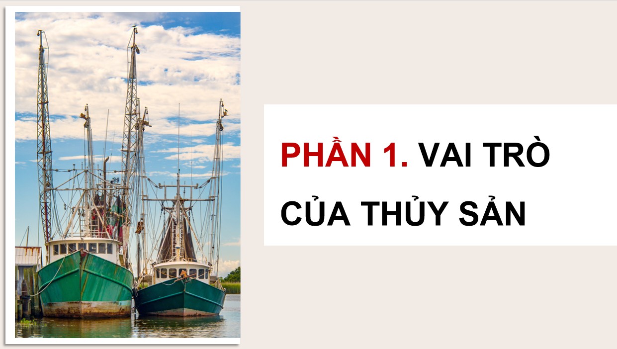 ppt cong nghe 12 kntt bai 8 4*896203