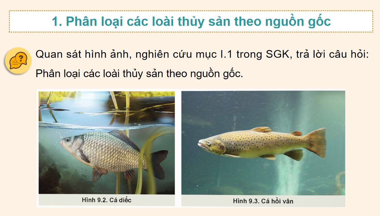 ppt cong nghe 12 kntt bai 9 5*896185