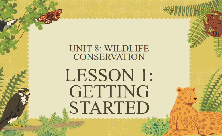 Giáo án Tiếng Anh 12 Unit 8: Getting Started